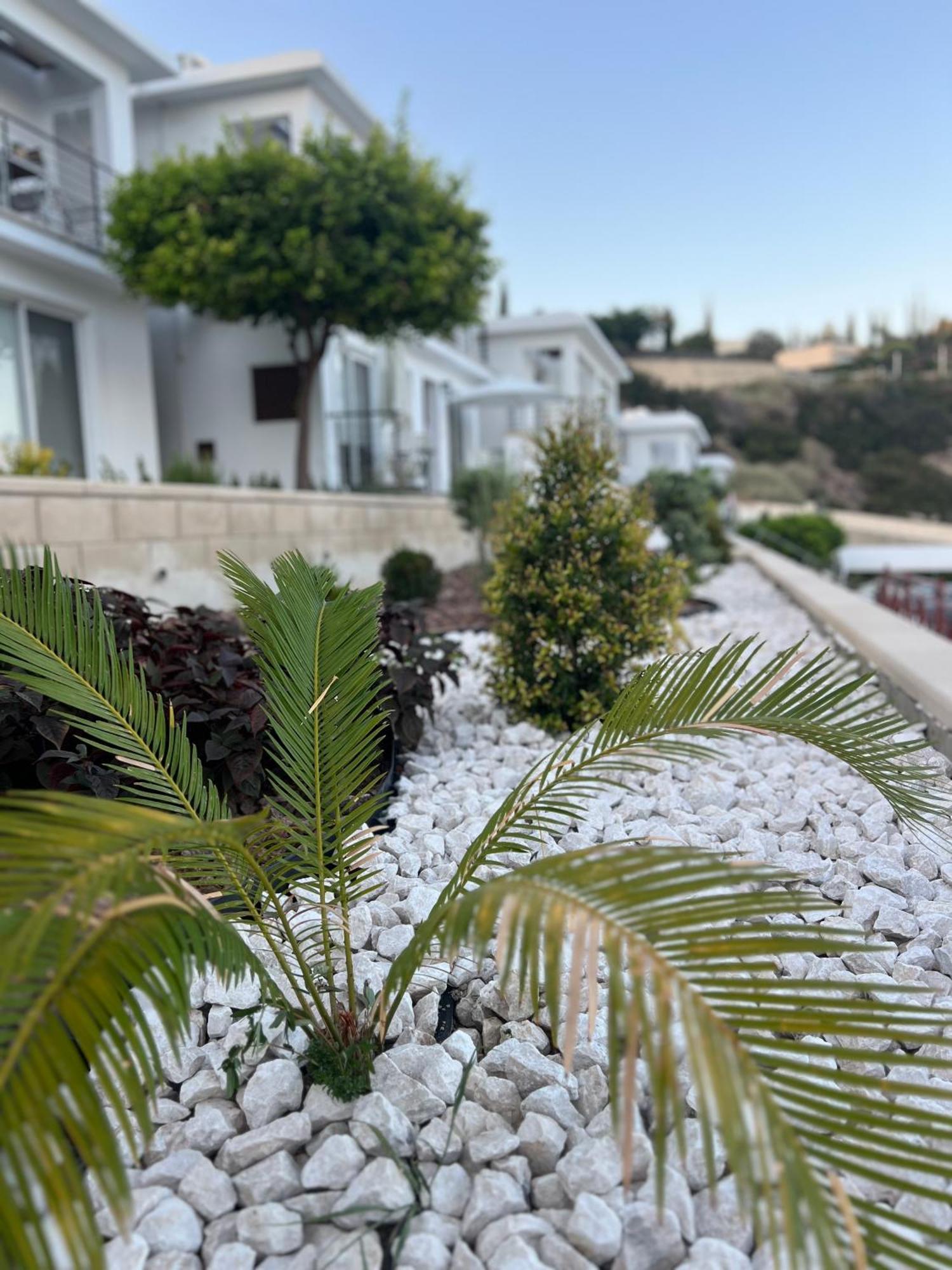 Pissouri Imageアパートメント エクステリア 写真